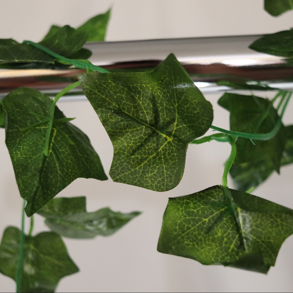 Ivy strands